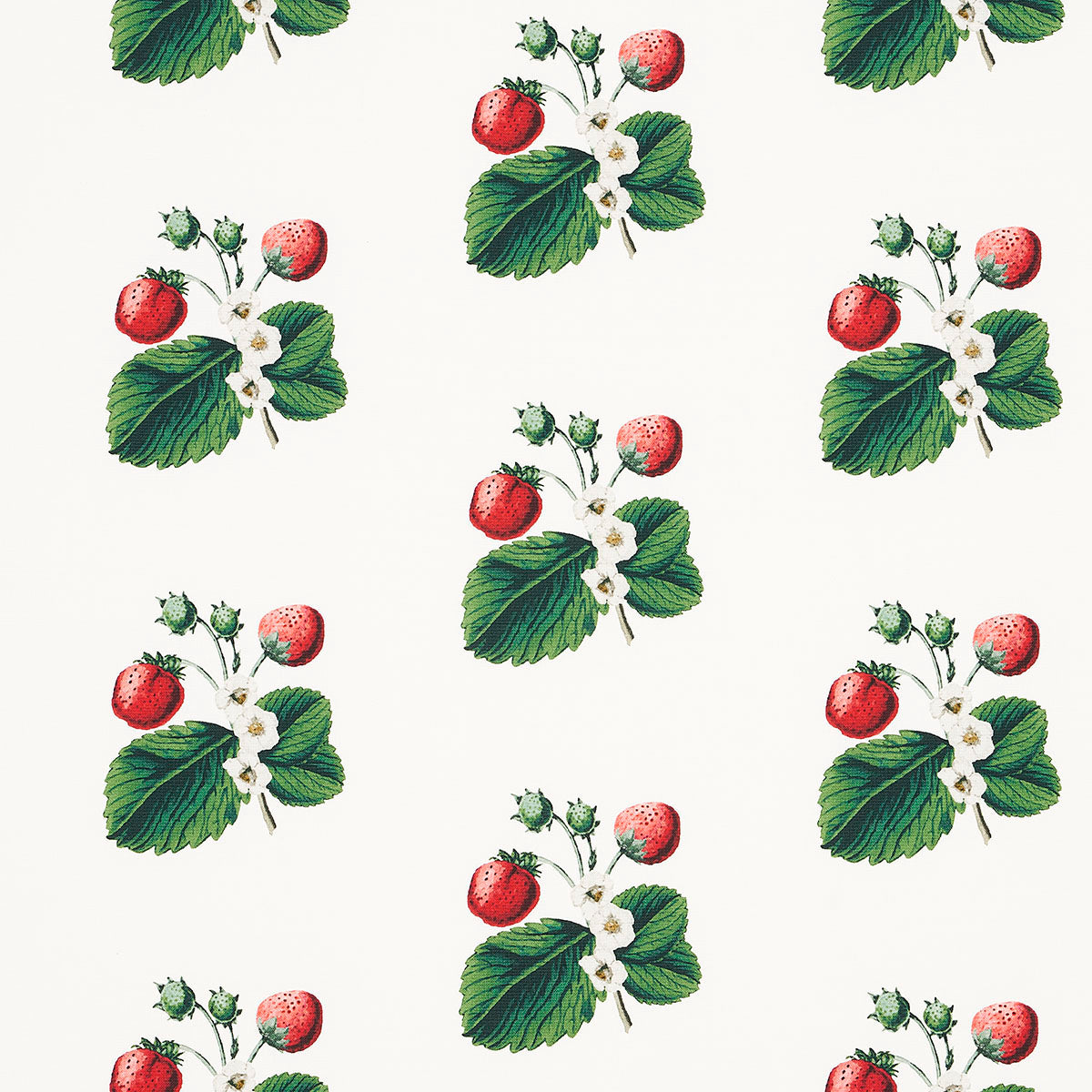 Schumacher | Strawberry Hill fabric - 180640