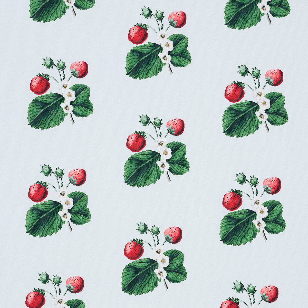 Schumacher | Strawberry Hill fabric - 180641