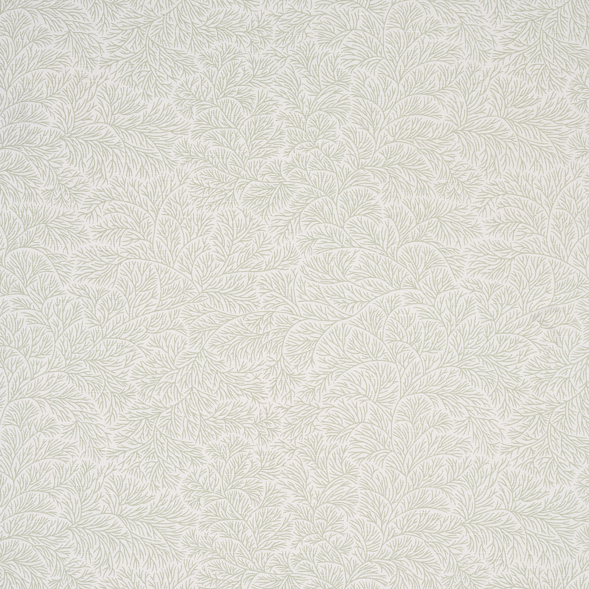 Schumacher | Bougainvillea fabric - 180701