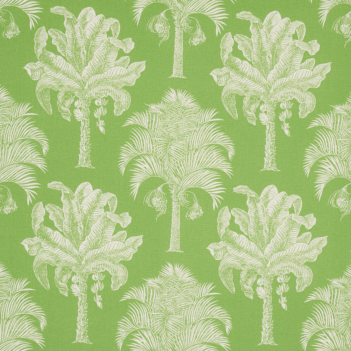Schumacher | Grand Palms Indoor/Outdoor fabric - 180960