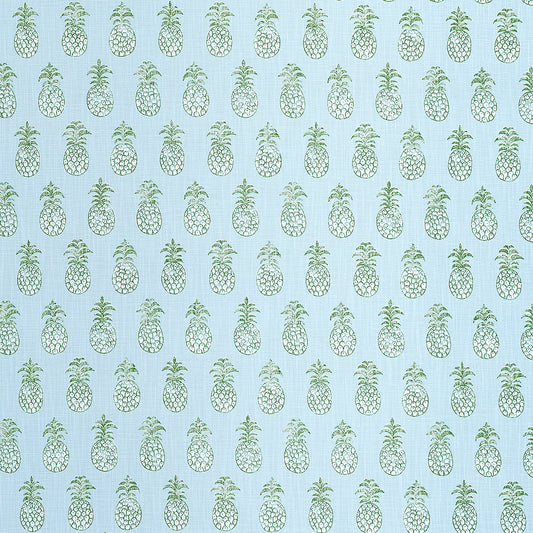 Schumacher | Piña Cove Indoor/Outdoor fabric - 181020