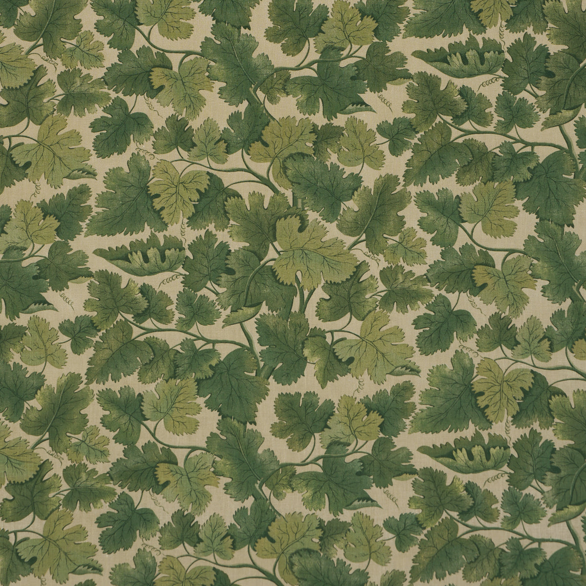 Schumacher | Edinburgh Vine fabric - 182790