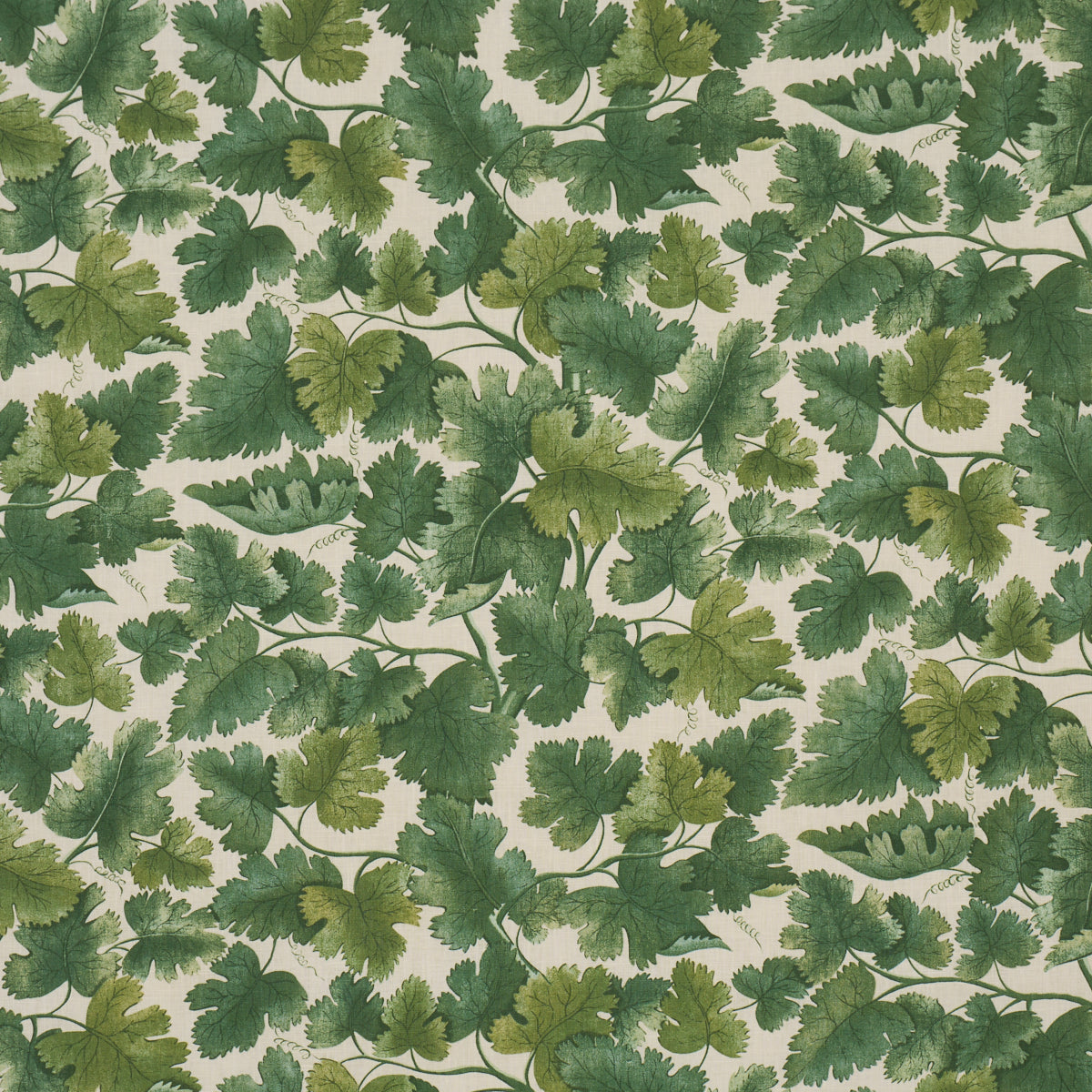 Schumacher | Edinburgh Vine fabric - 182791