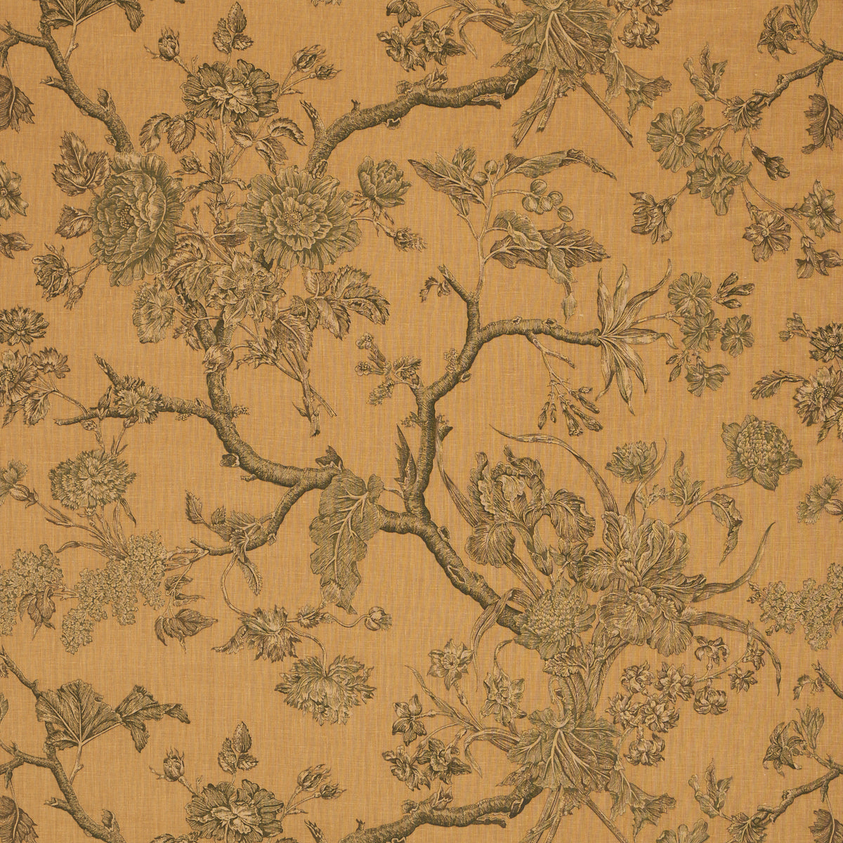 Schumacher | Inverness Garden fabric - 182830