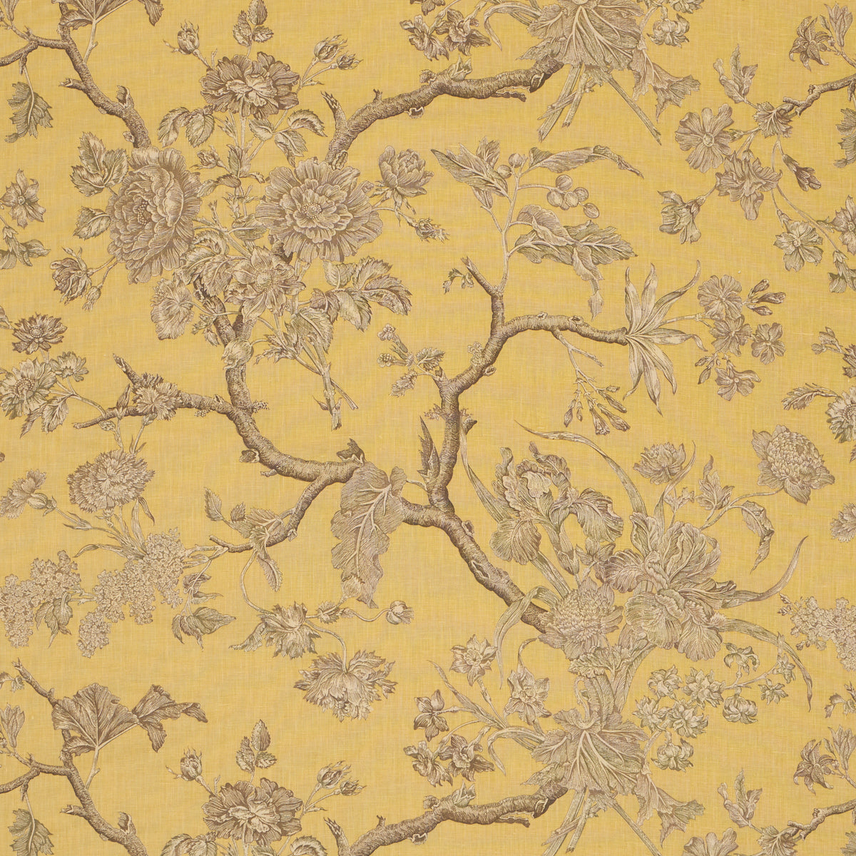 Schumacher | Inverness Garden fabric - 182831