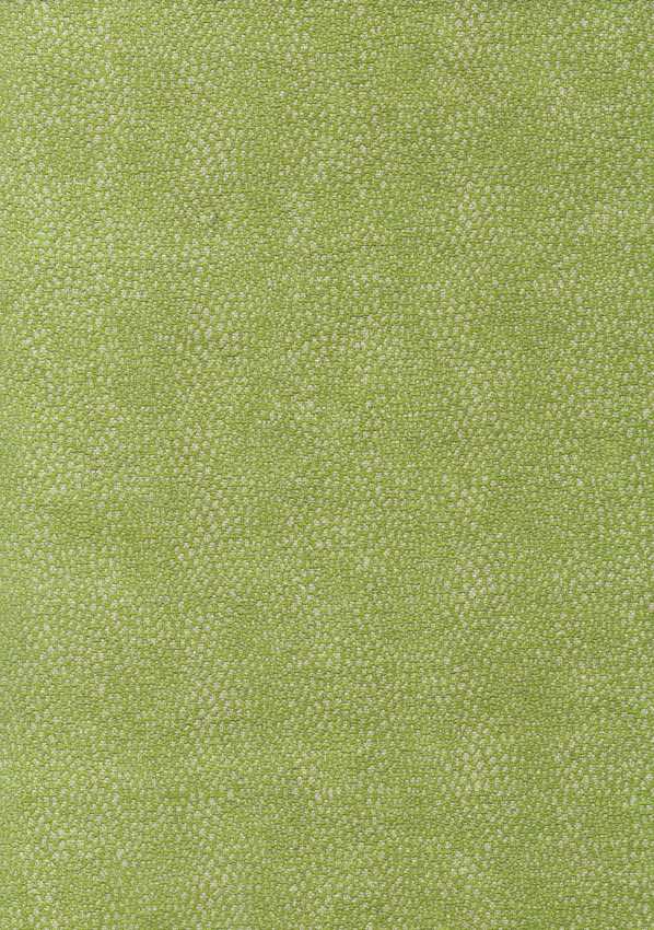 Osborne & Little | Oriole fabric - F6461-03