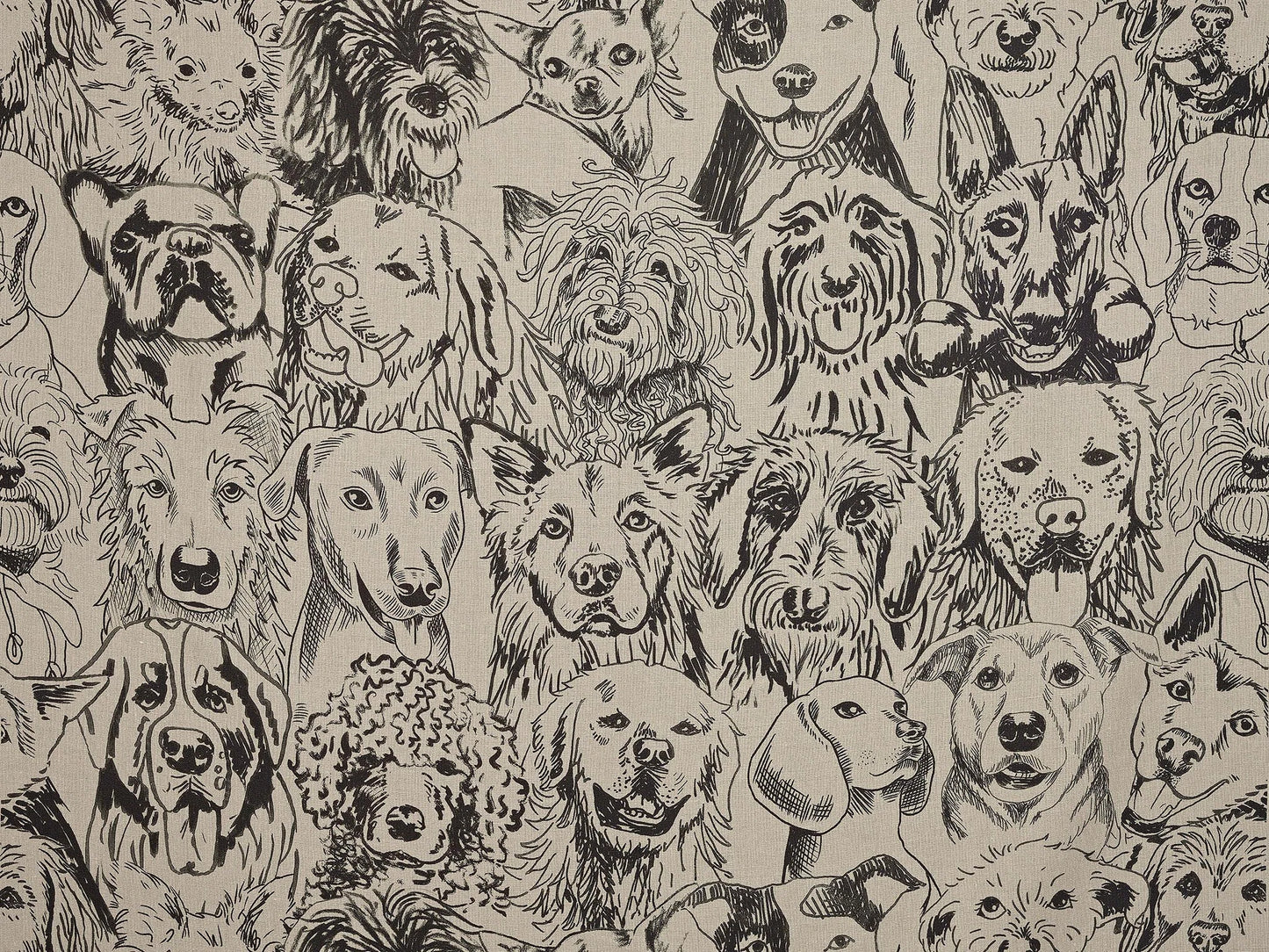 Pierre Frey Designer Dogs - Fusain