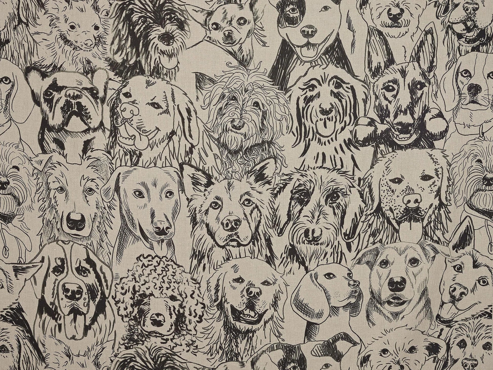 Pierre Frey Designer Dogs - Fusain