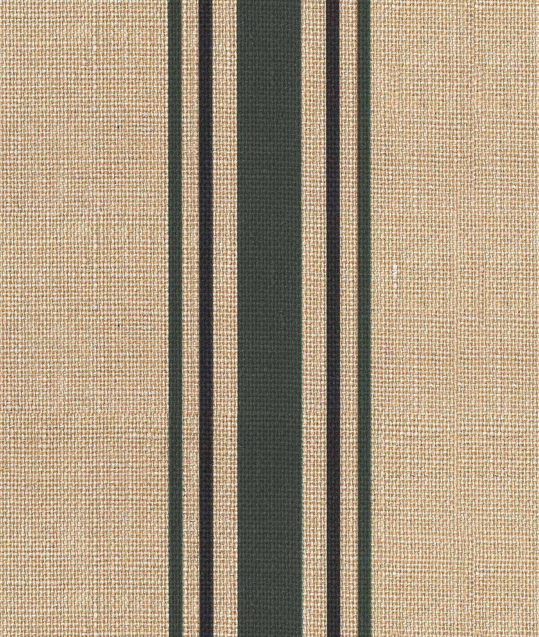 DEDAR | Library Wall