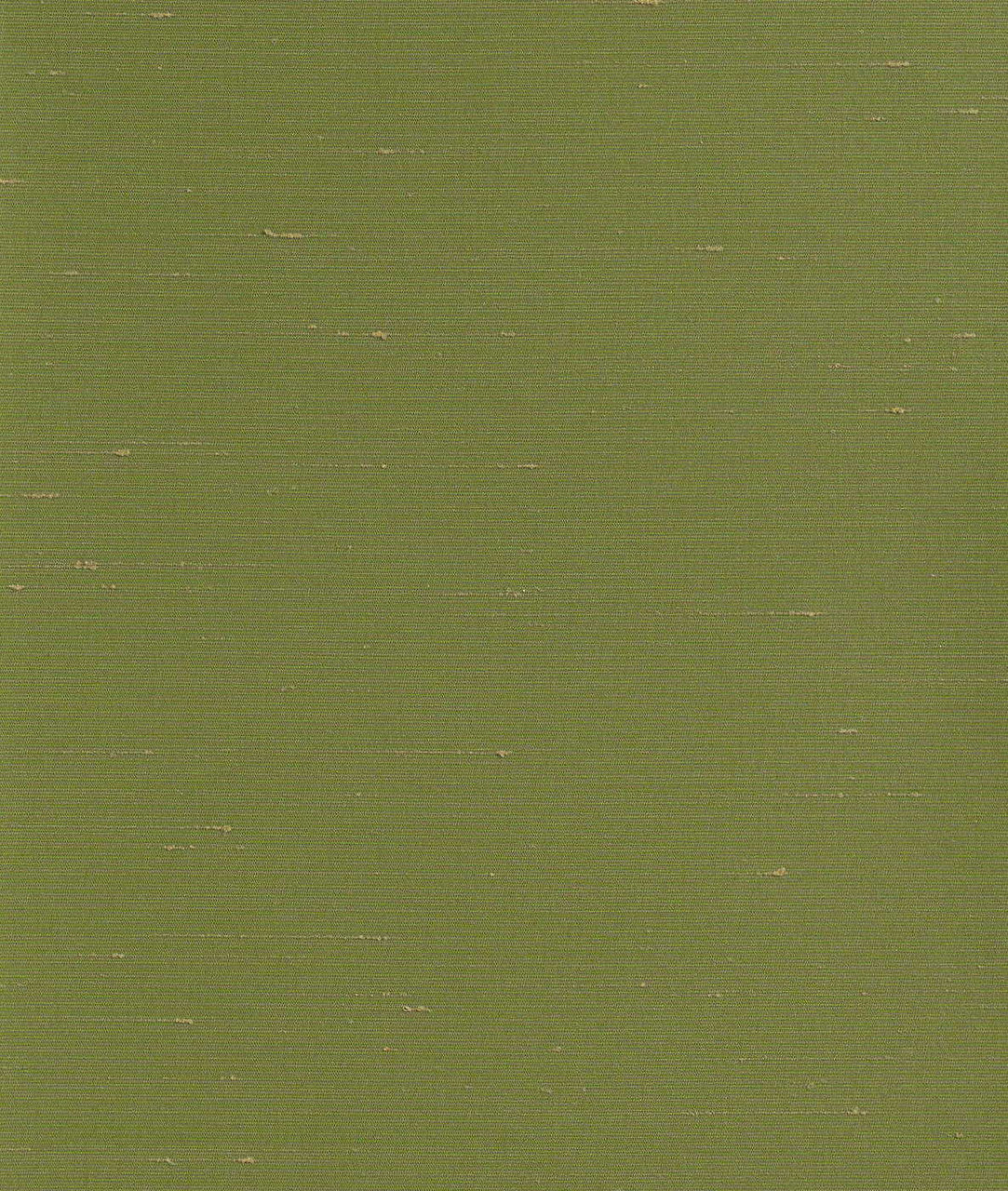 DEDAR | Sibilla Wall