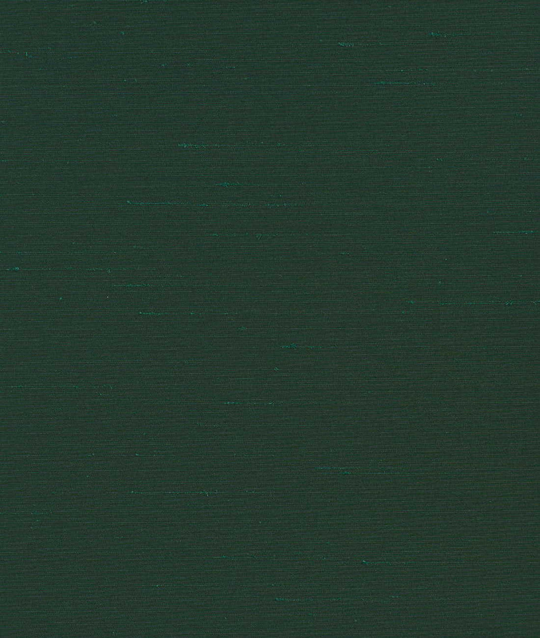 DEDAR | Sibilla Wall