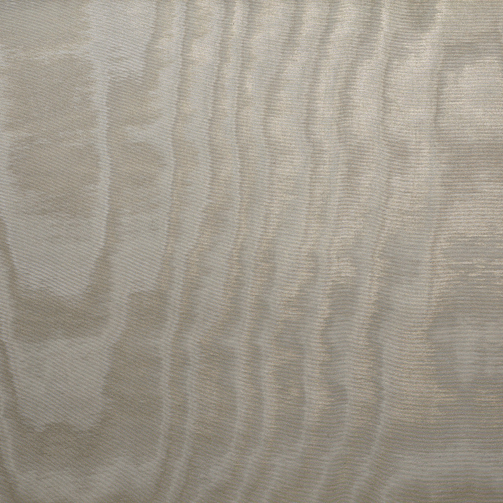 DEDAR | Amoir Fou Wall