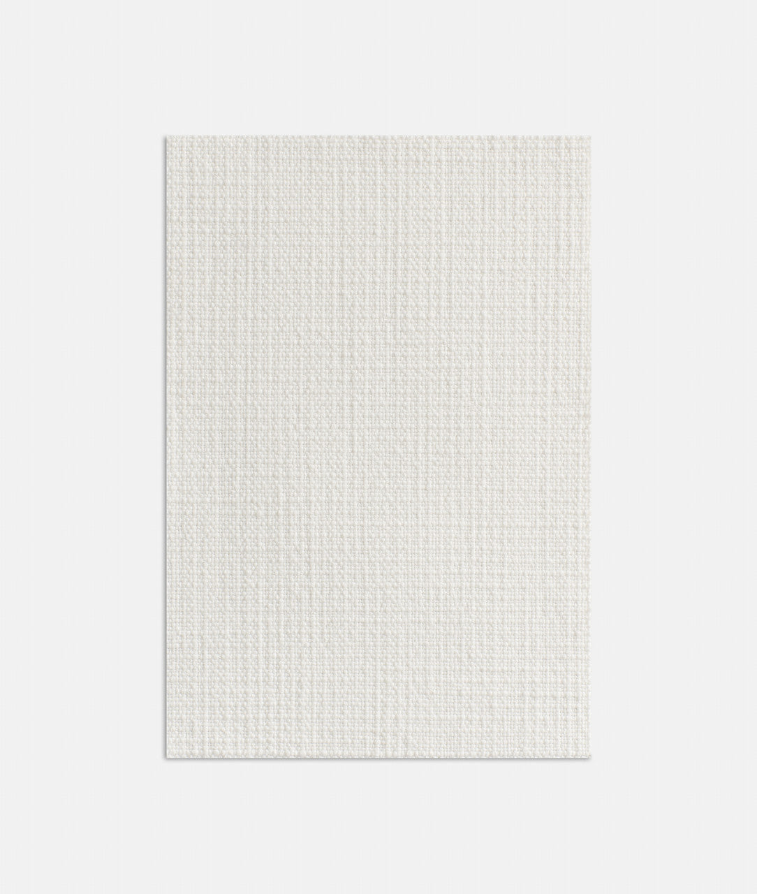 DEDAR | Gabbiano