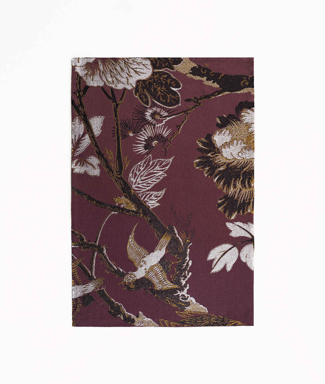 DEDAR | Silkbird Jacquard