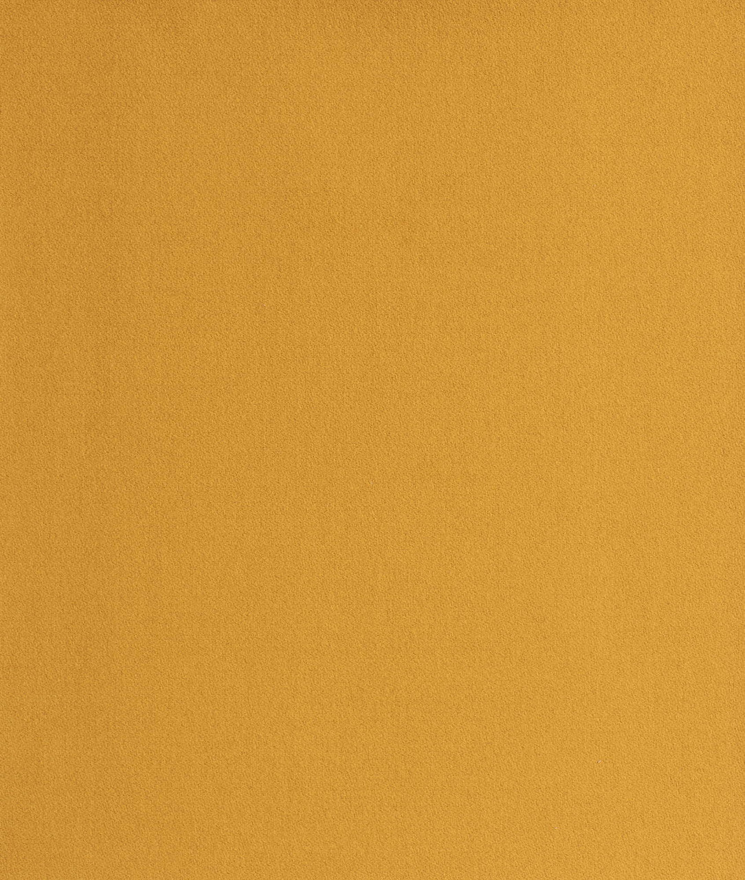 DEDAR | Queneau Wall