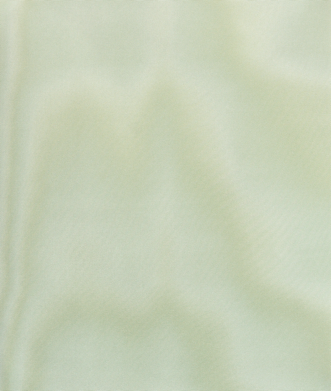 DEDAR | Viridiana Wall