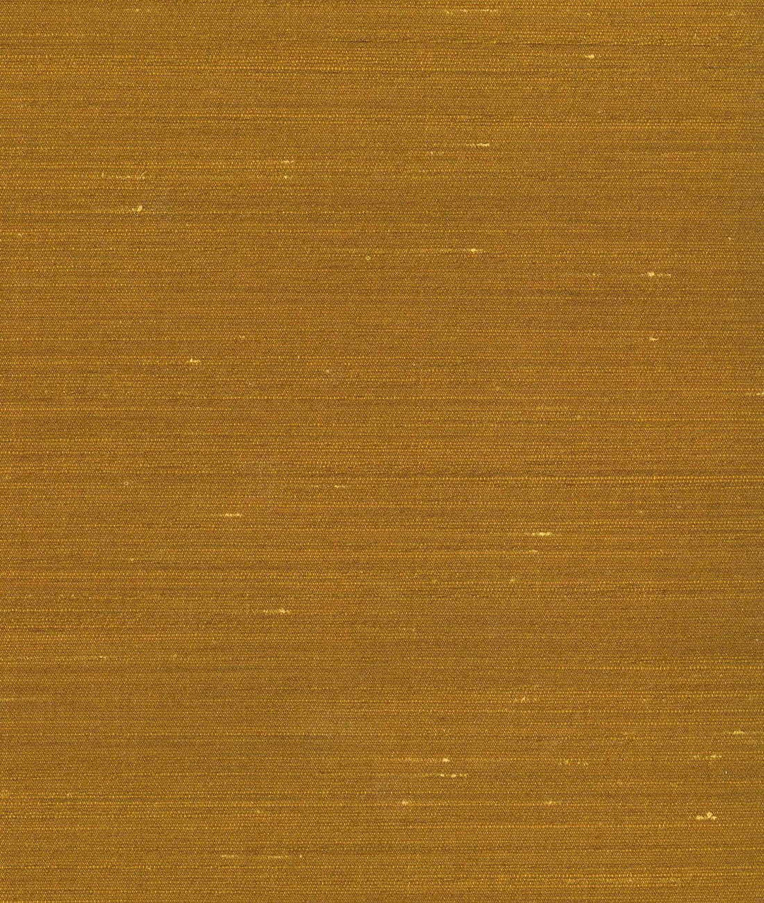 DEDAR | Drusilla Wall