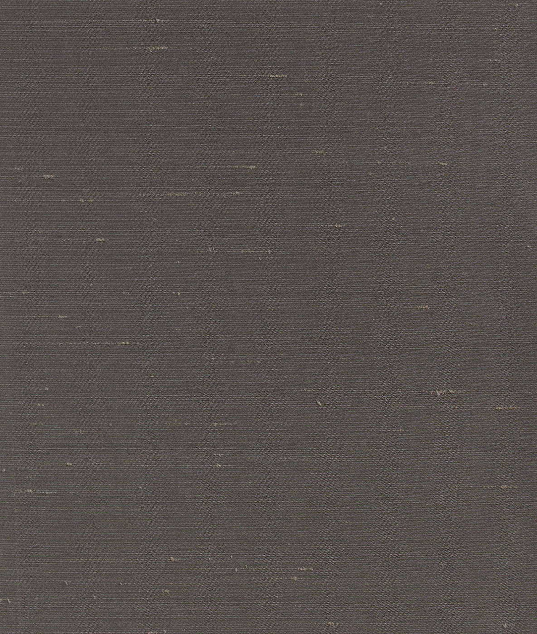 DEDAR | Sibilla Wall