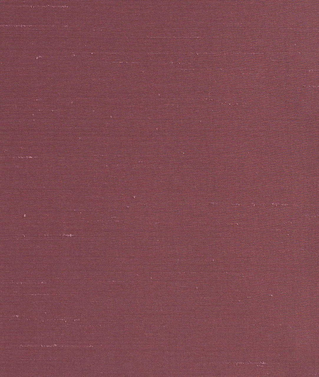 DEDAR | Sibilla Wall