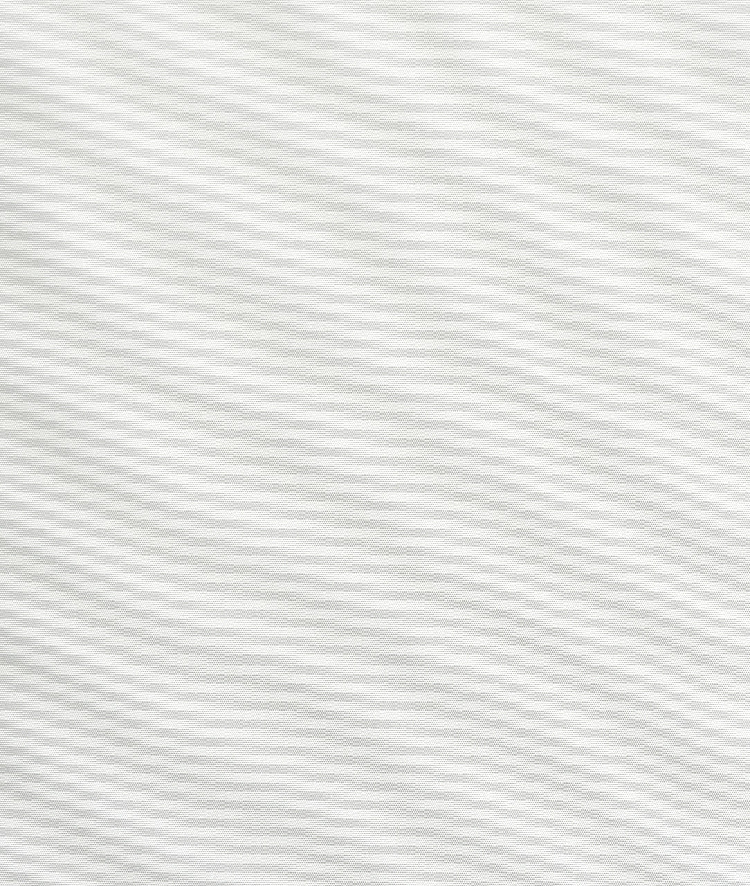 DEDAR | Viridiana Wall