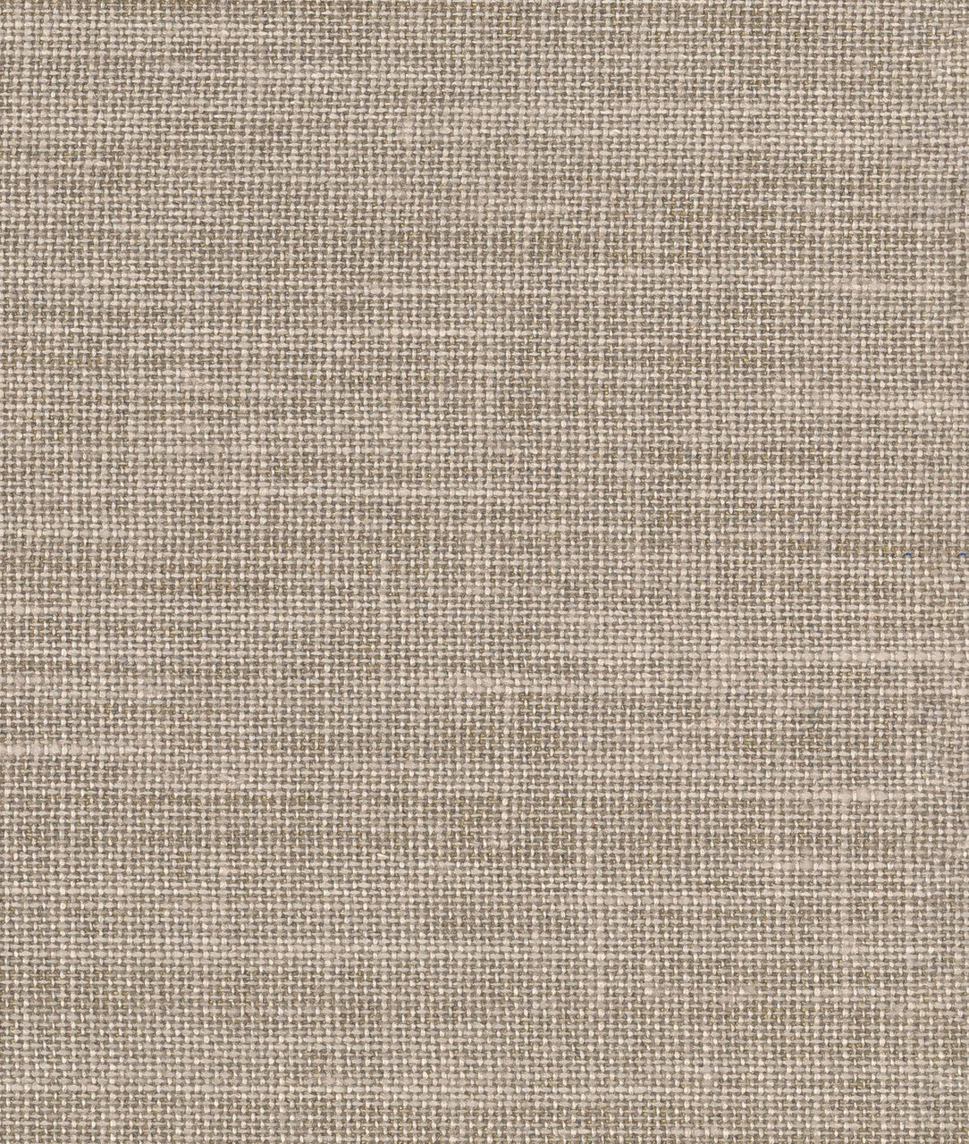 DEDAR | Toile Bâche Wall