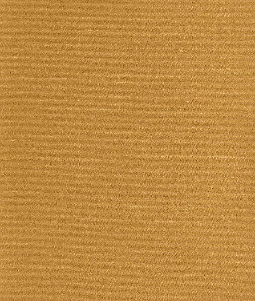 DEDAR | Sibilla Wall