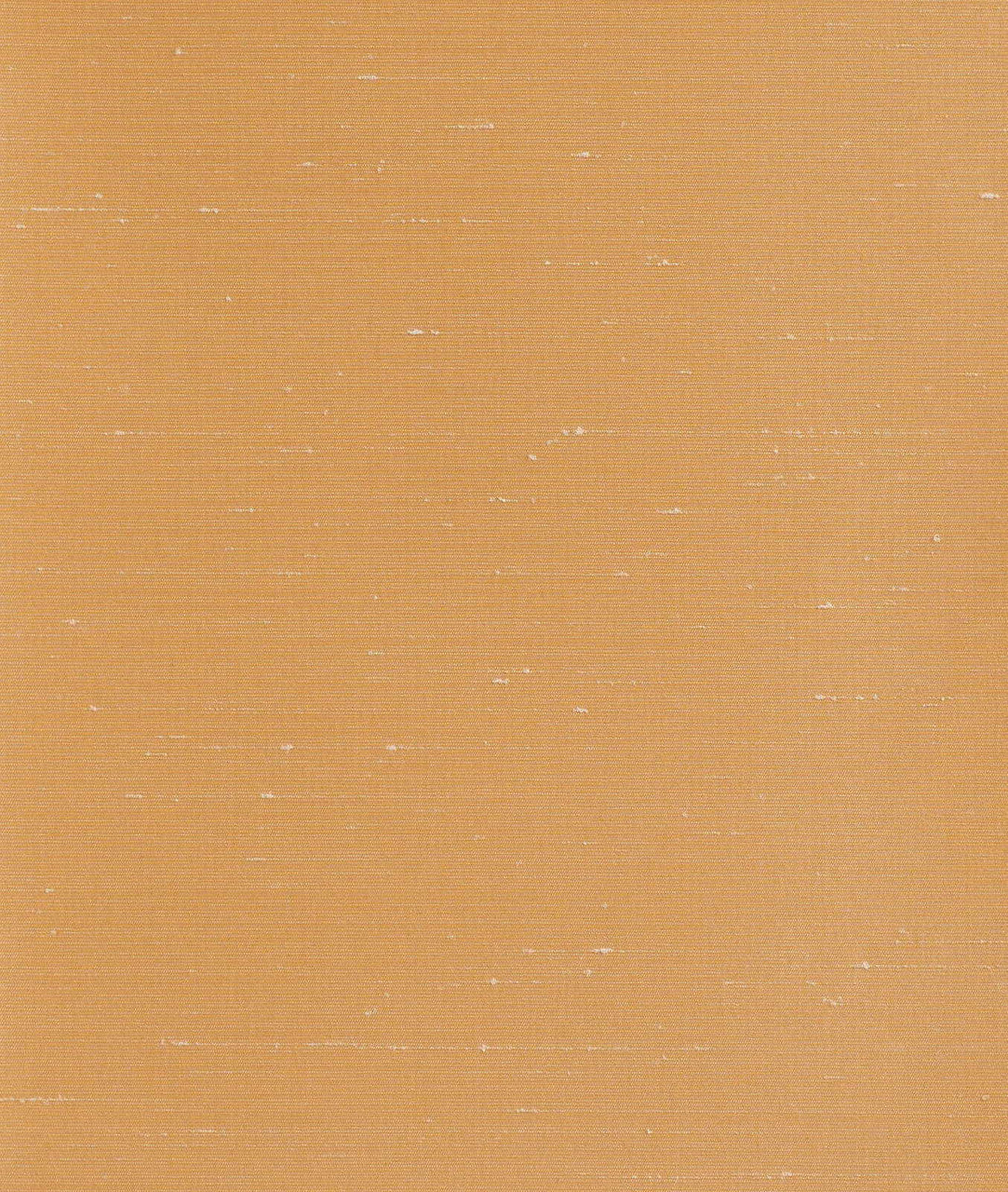 DEDAR | Sibilla Wall