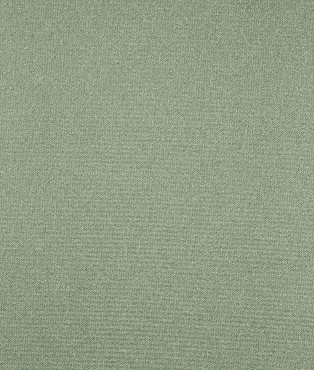 DEDAR | Sunday Wall