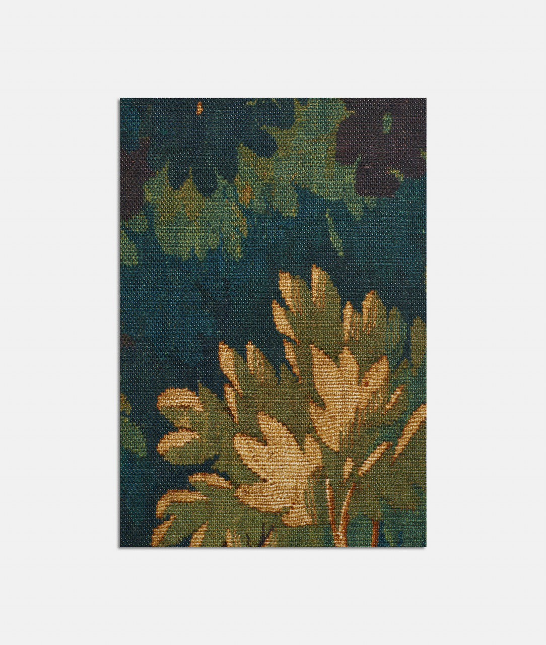 DEDAR | Schwarzwald