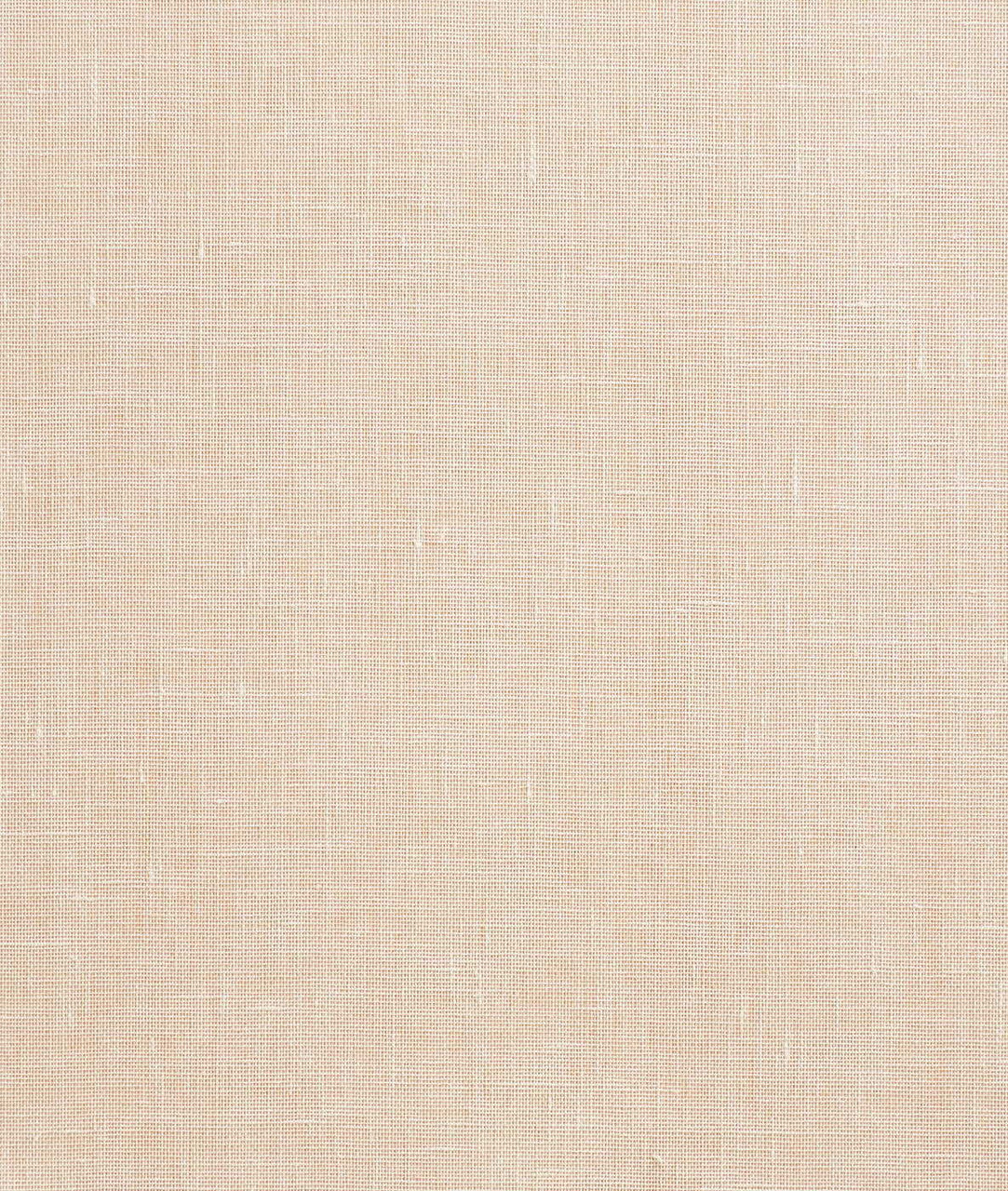 DEDAR | Fitzcarraldo Wall