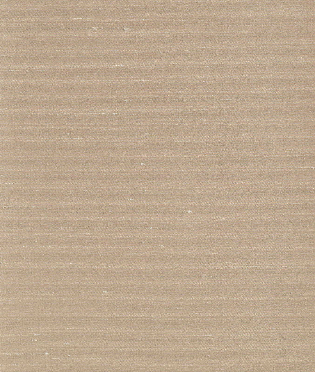 DEDAR | Drusilla Wall