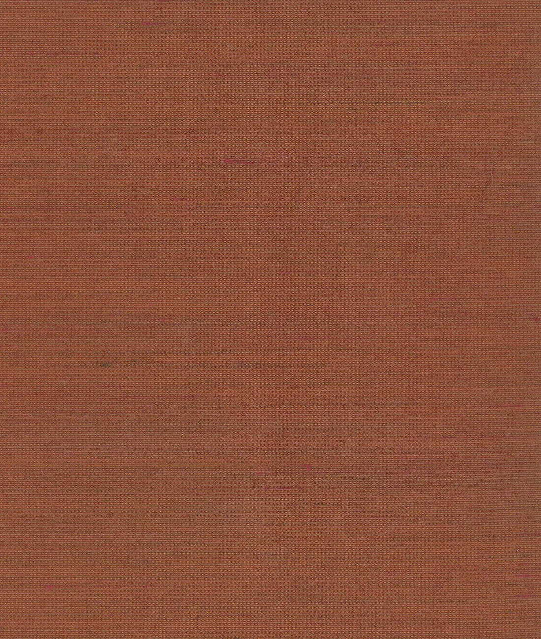 DEDAR | Drusilla Wall