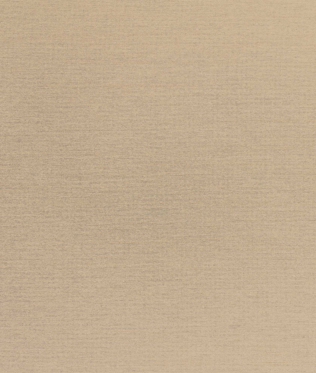 DEDAR | Nish Wall