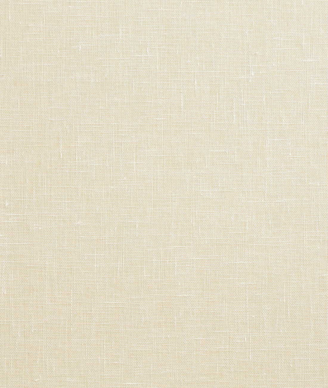 DEDAR | Fitzcarraldo Wall
