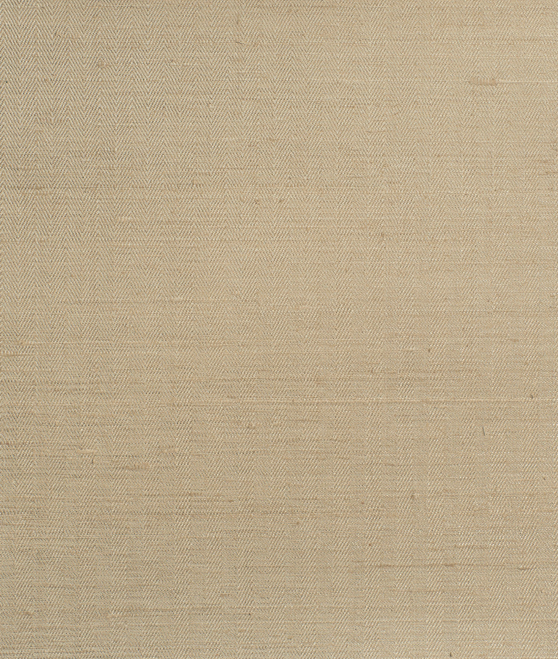 DEDAR | Days Like Now Wall