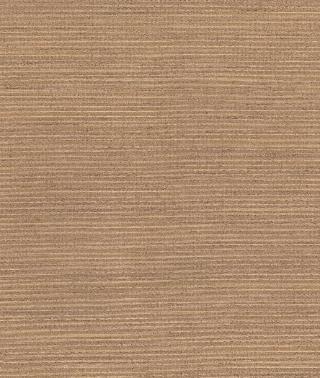 DEDAR | Drusilla Wall