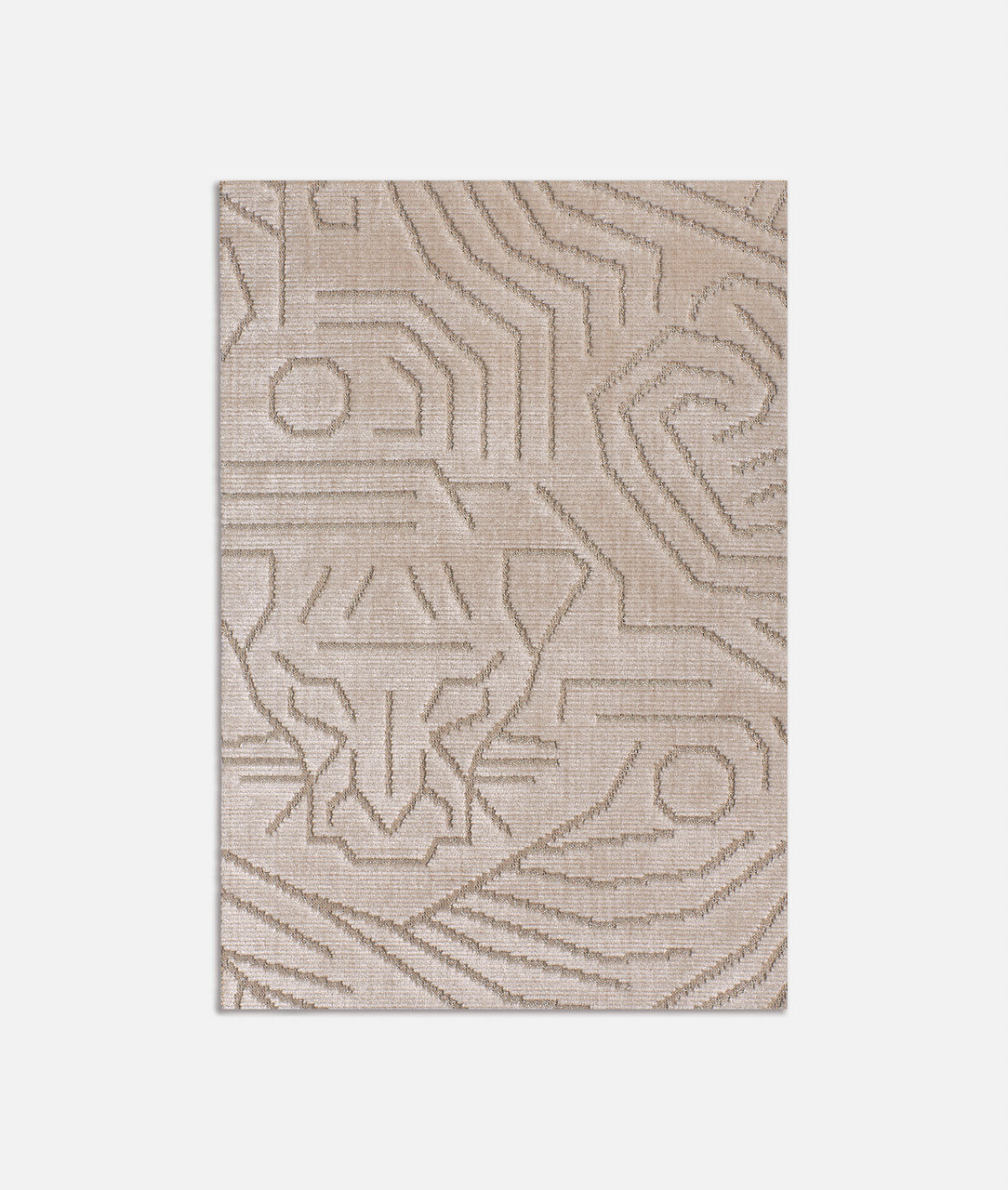 DEDAR | Darwinista