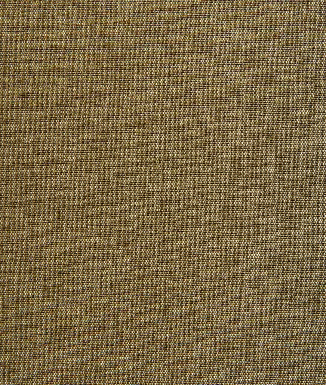 DEDAR | Didgeridoo Wall