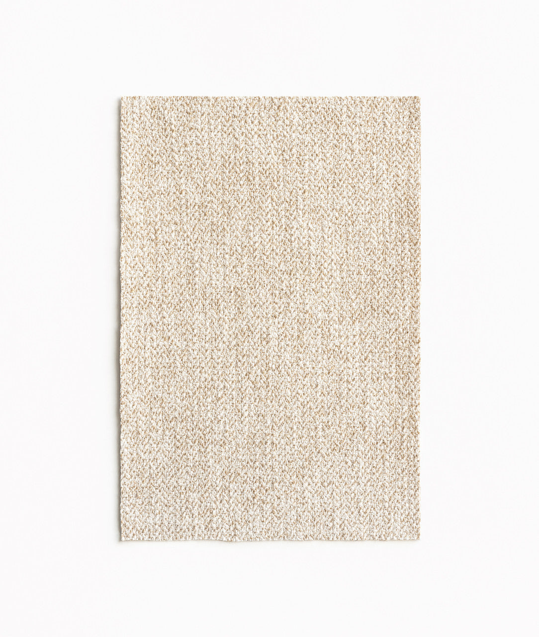 DEDAR | Spinone