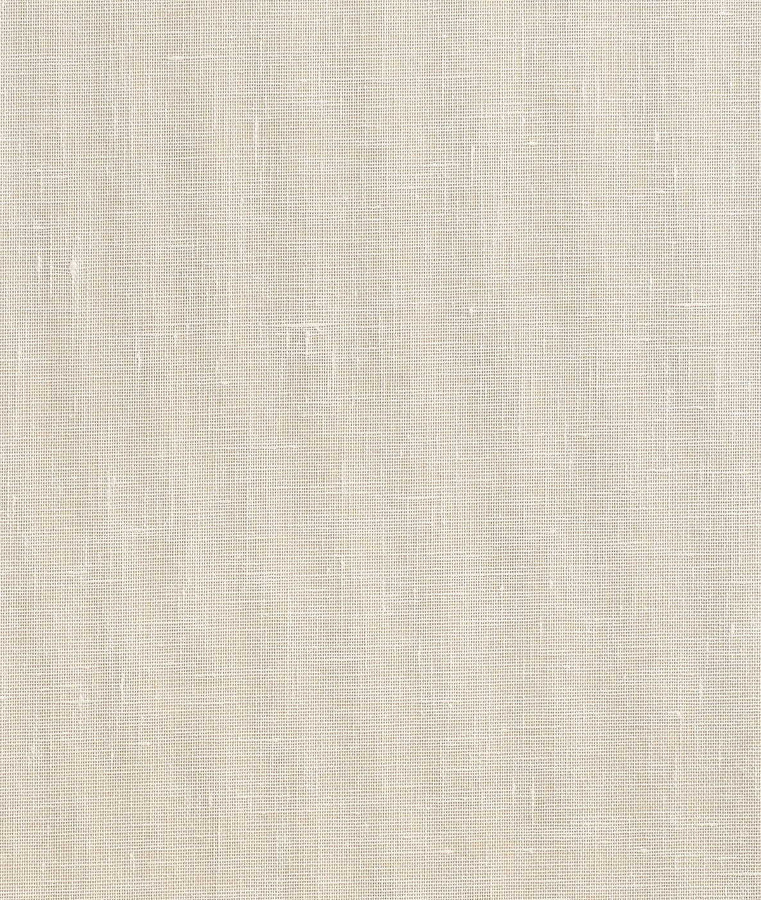 DEDAR | Fitzcarraldo Wall