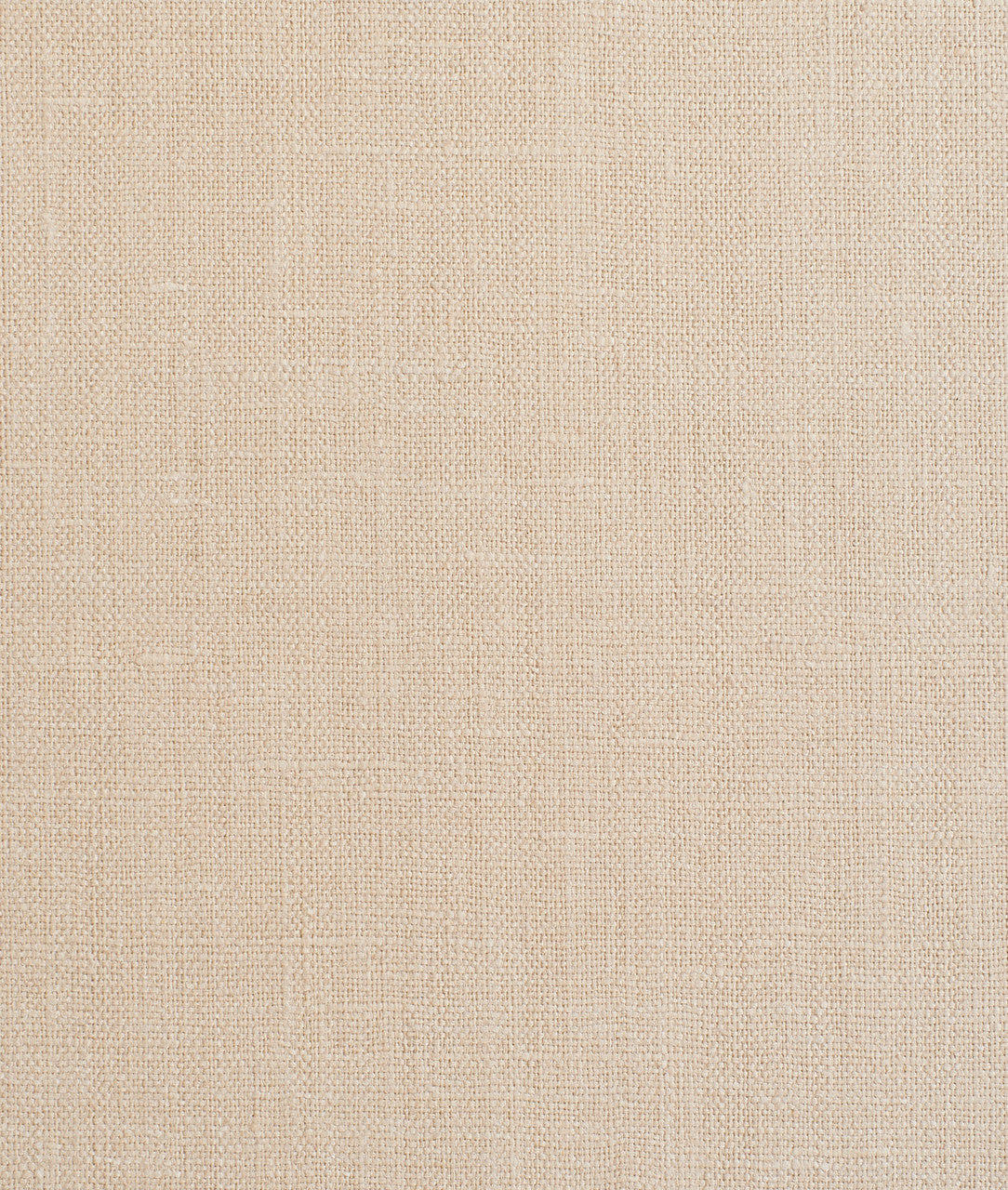 DEDAR | Gabor Wall