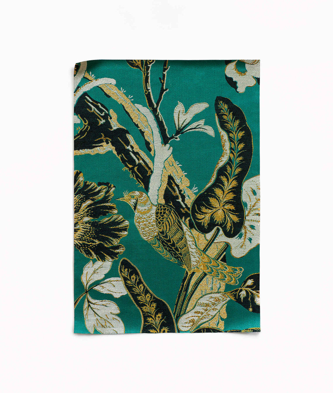 DEDAR | Silkbird Jacquard