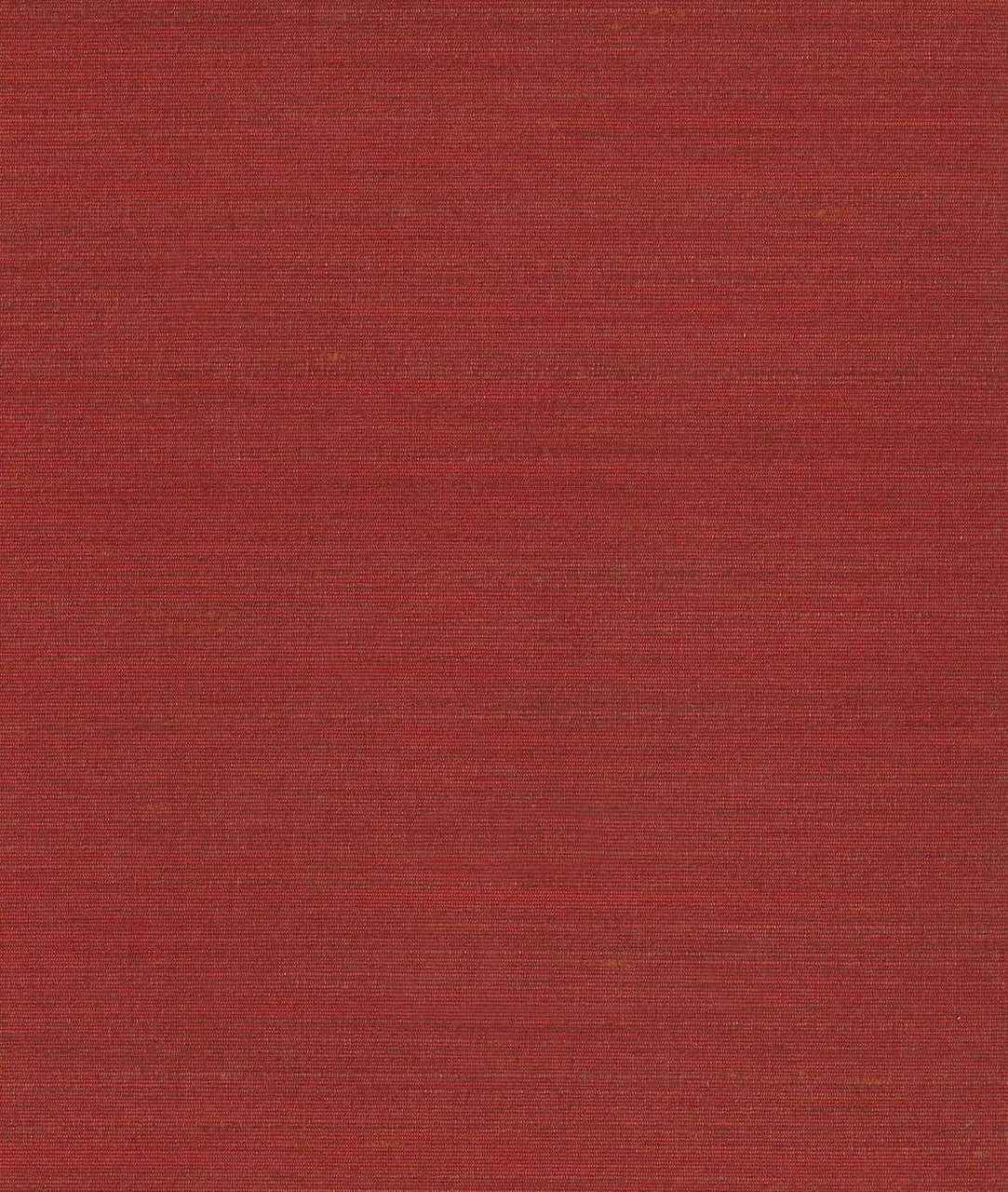 DEDAR | Drusilla Wall