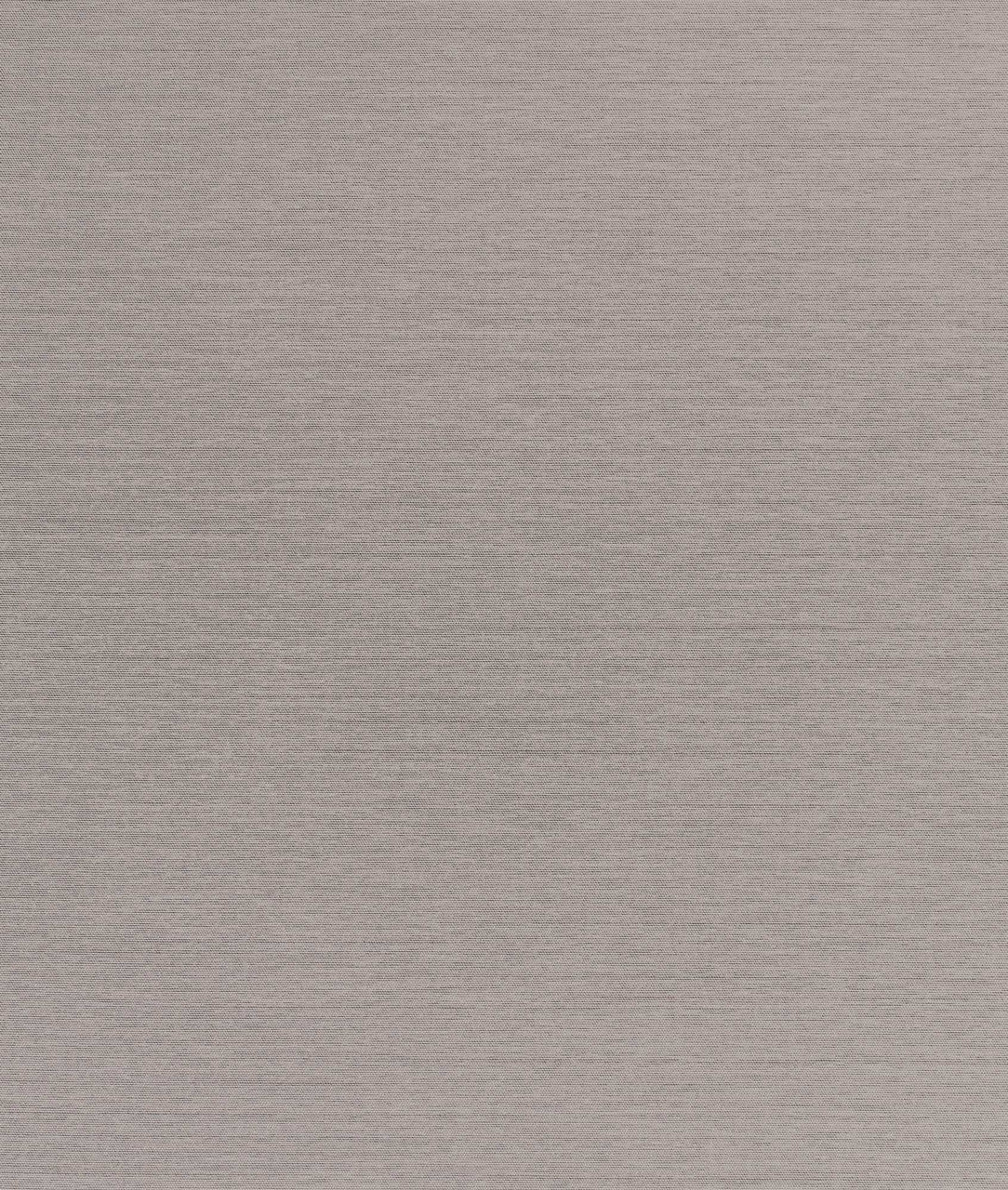 DEDAR | Nish Wall