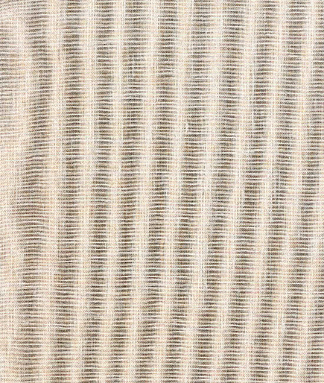 DEDAR | Fitzcarraldo Wall
