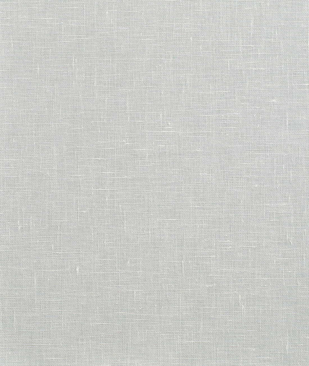 DEDAR | Fitzcarraldo Wall