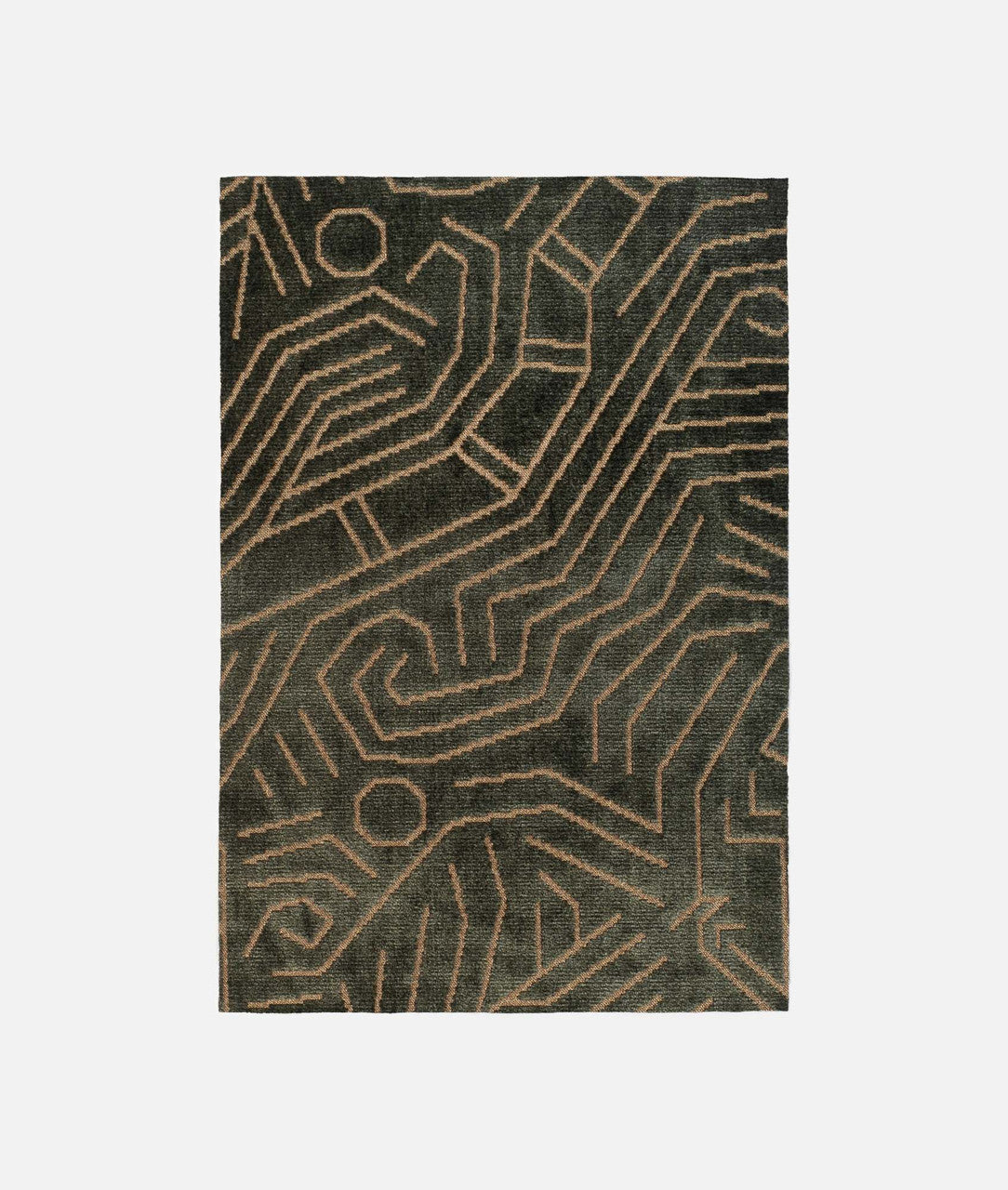 DEDAR | Darwinista