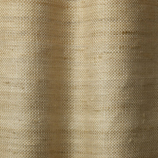 DEDAR | Silk Sugar