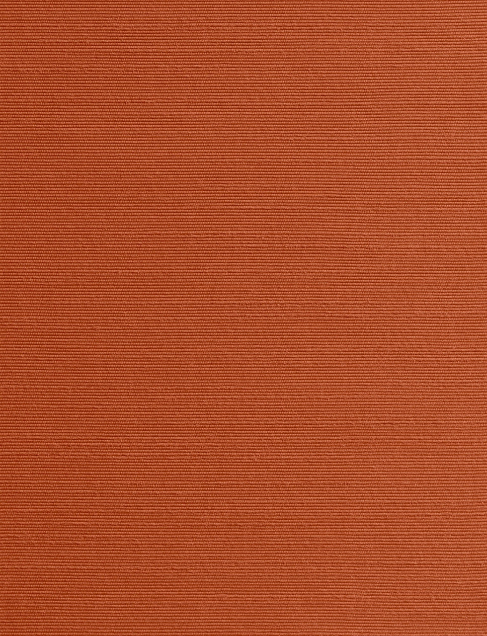 DEDAR | Alter Ego Wall