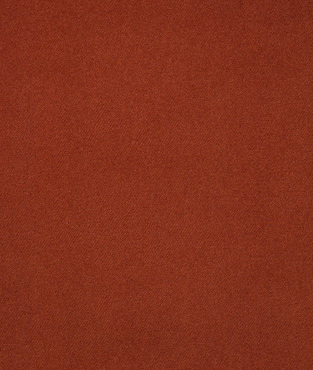 DEDAR | Sunday Wall